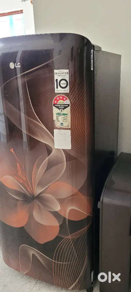 Lg Refrigerator 185 lts with onion tray