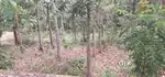 Trivandrum beautiful plot for sale