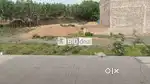 Residential Open Plot(Bicholi Hapsi)