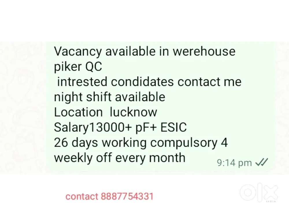 Picker jobs Lucknow