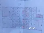 #plot for sell in patna only for investor