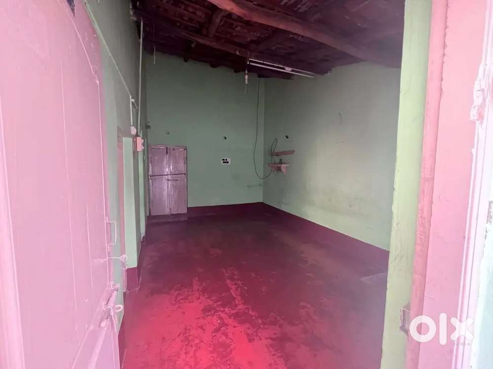 Single independent house with site