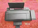 Epson 8443 Printer for Sale