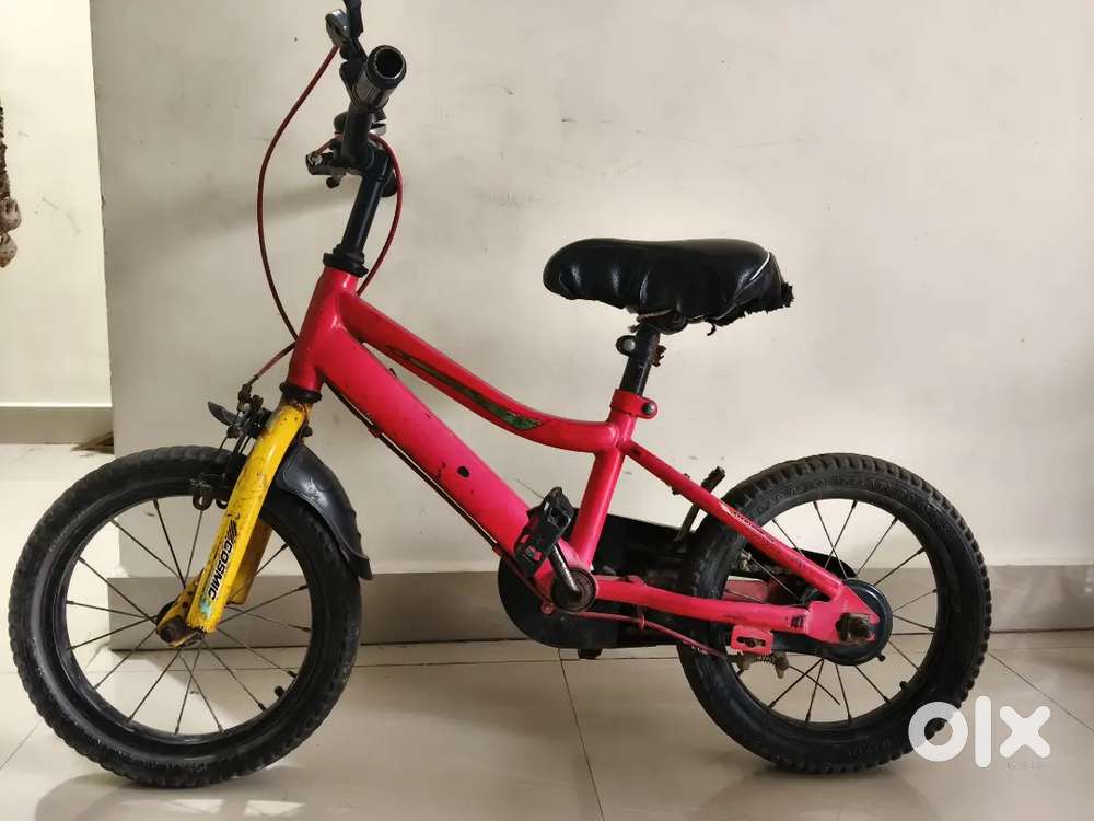 Cosmic cycle and panda car