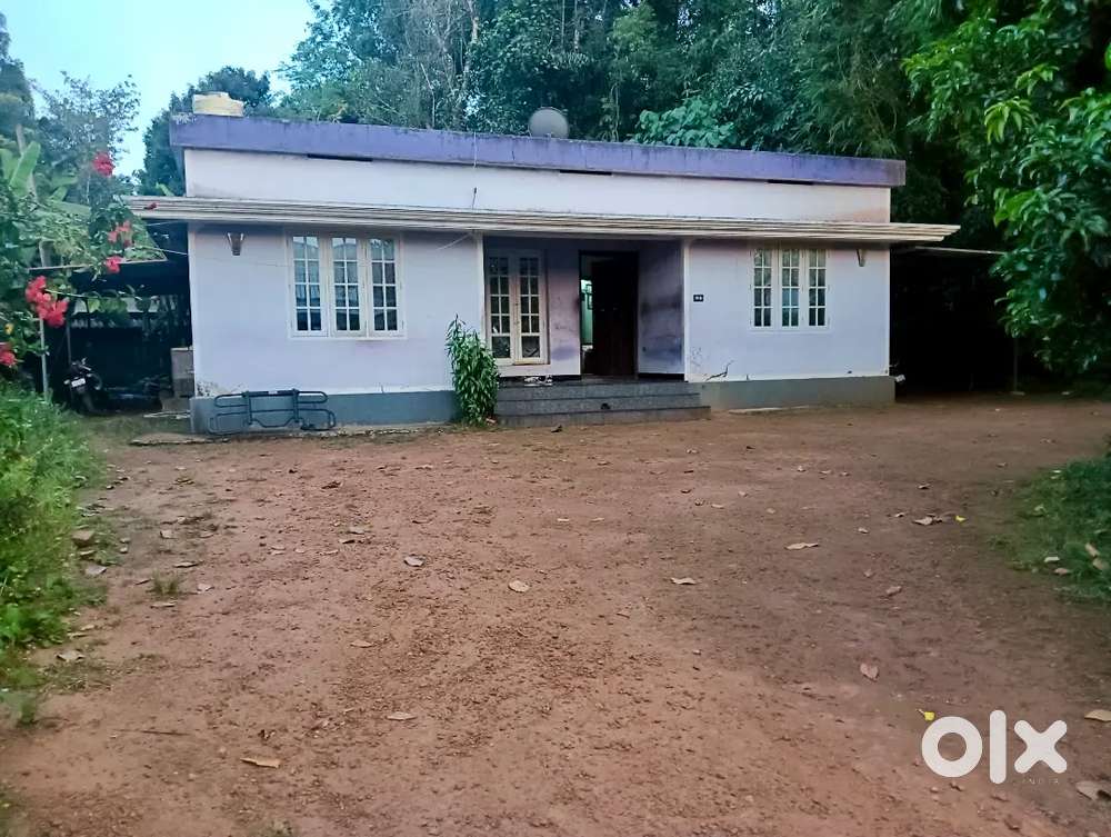 10 cent plot with 1000 sqft house for sale, Pazhamthottam