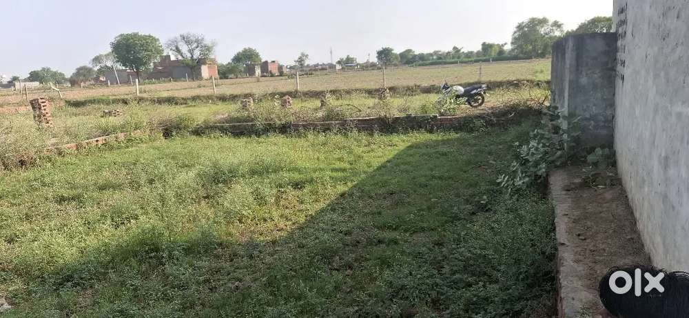 Plot 100 gaj  nagaria ke peeche. K r garden, se rasta hai shan miyaki