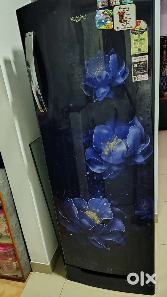 Whirlpool Fridge