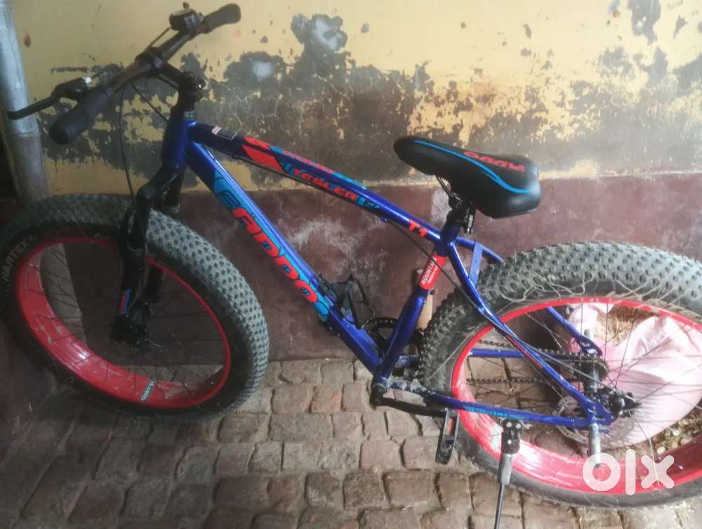 Sasamusa bajar