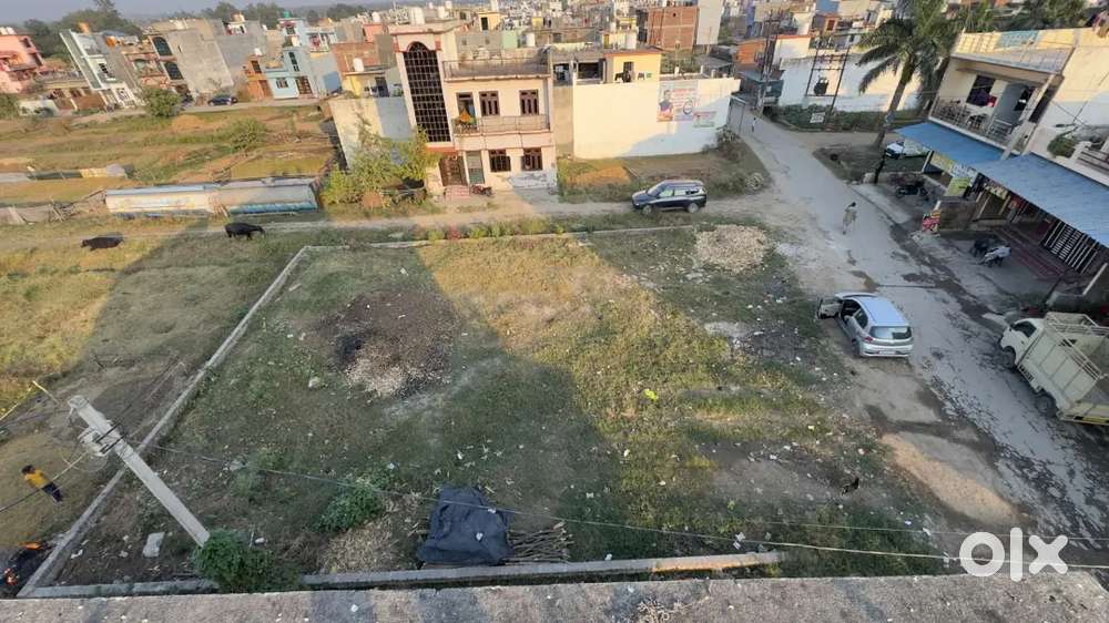 This plot is very cheap price commercial plot @19999