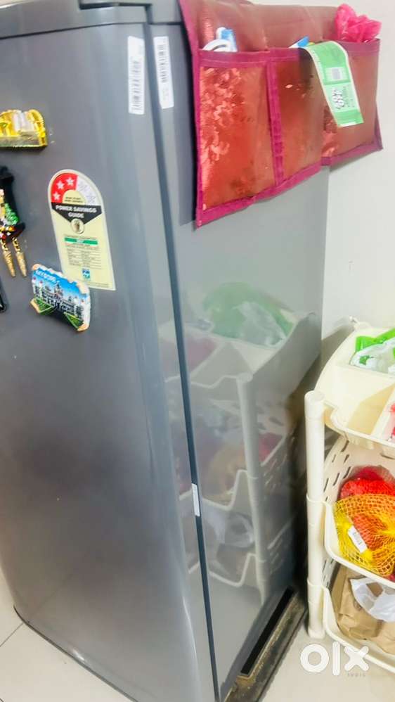 4.5 year old freeze in good condition