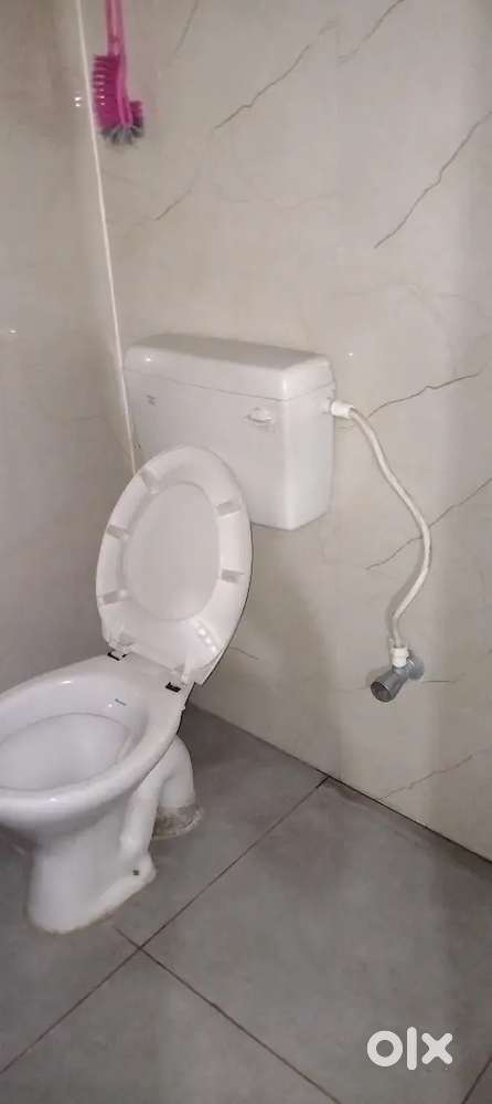 Need student flat-mate