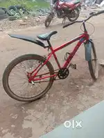 Model RX-100