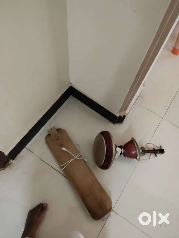 Almonard ceiling fan