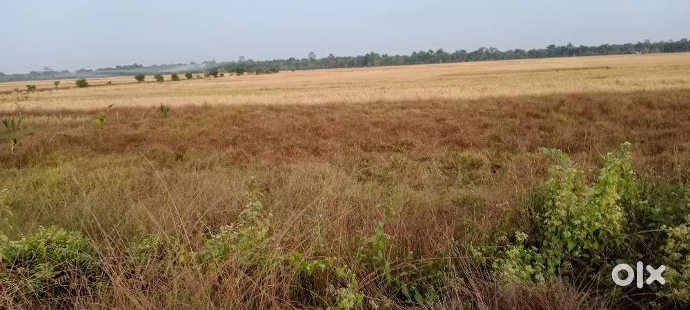 Plot sale in khamtighat adjacent to 52 B NH