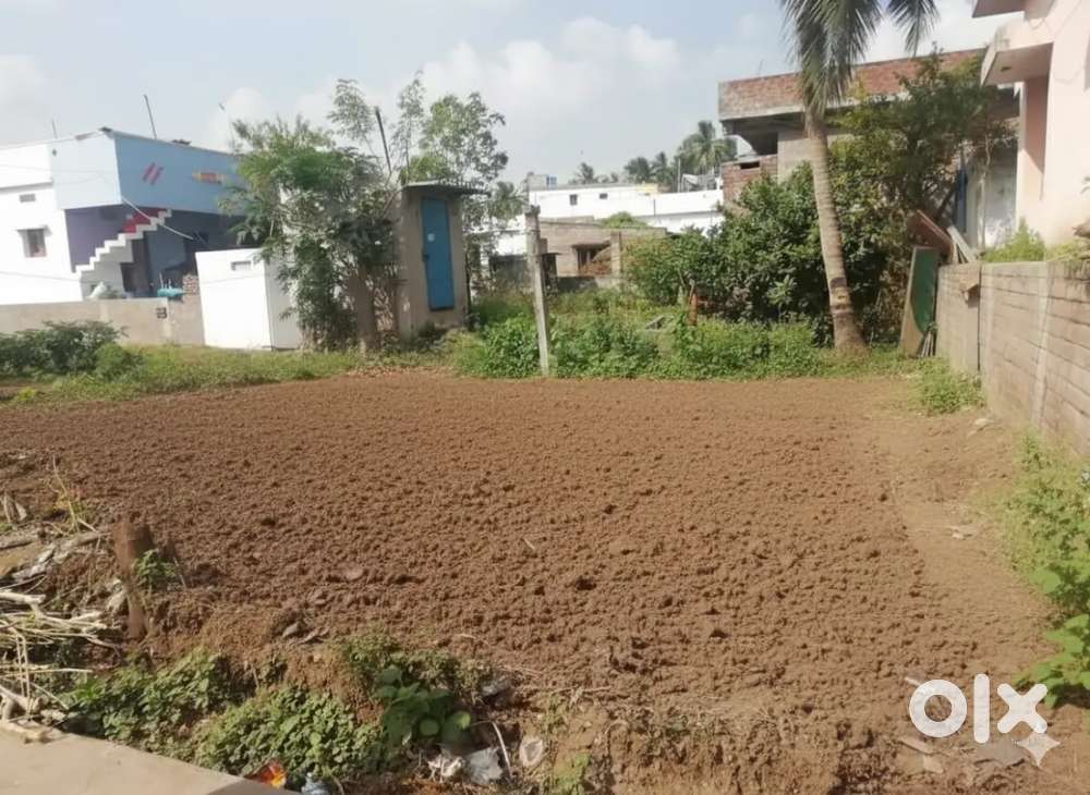 3 Cents house plot in Chintalapudi, Ponnur, Guntur.