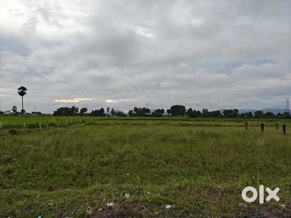 600.  Square Yards .East Facing.Open Land .For Sale