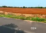 Land for sale / agricultural land