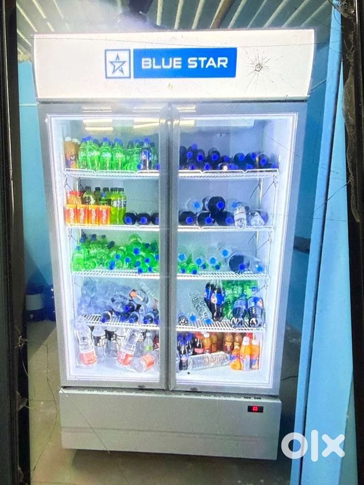 Double door Frige  blue Star
