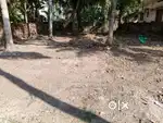 Kollam Anchukallumood Nalanda Nagar 8,750 Cent 4 side wall