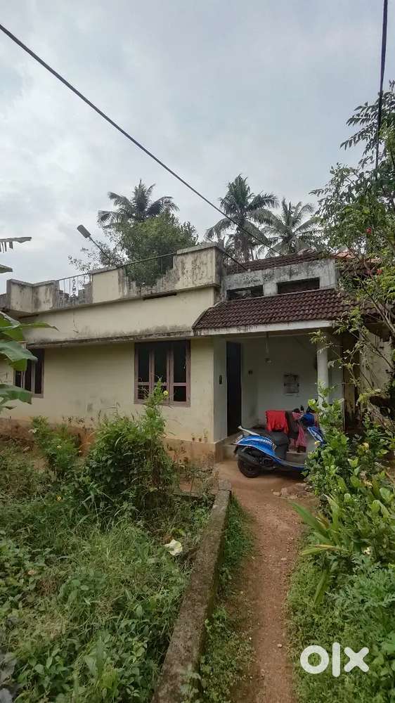 12.5 cent for sale in Pothencode Trivandrum