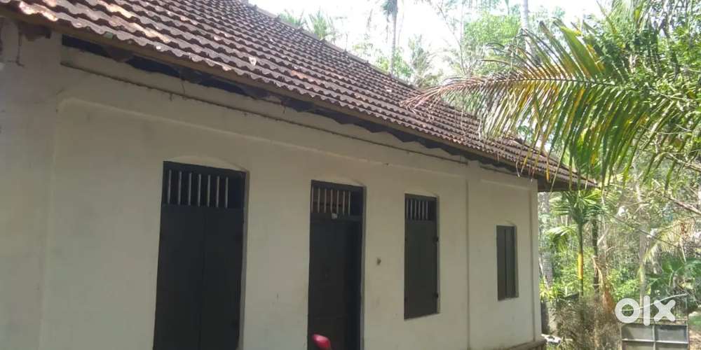 16 scent property with house for sale