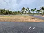 Housing Plots Sale - Asaripallam