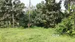 80 Lakhs, 2.65Acre, Nanniyode, Near Chitoor, Palakkad