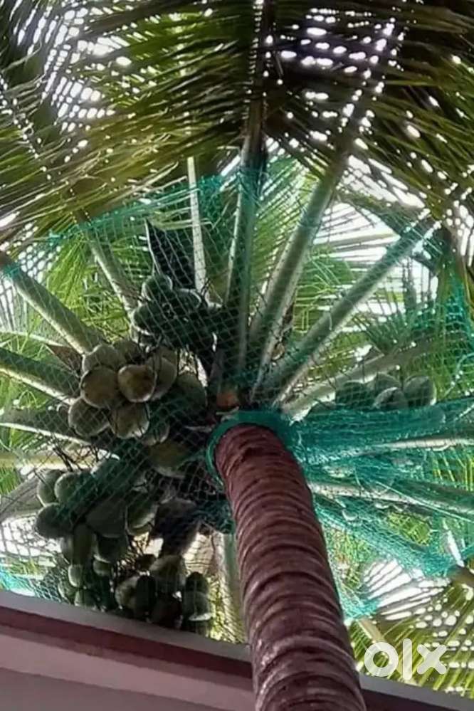 bird nets installation