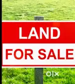 Vacant residential plot available near jalpaiguri Dinbazar 1.75Katha.
