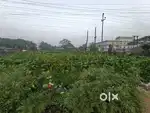 Commercial land for sale 7 kathas (front face)