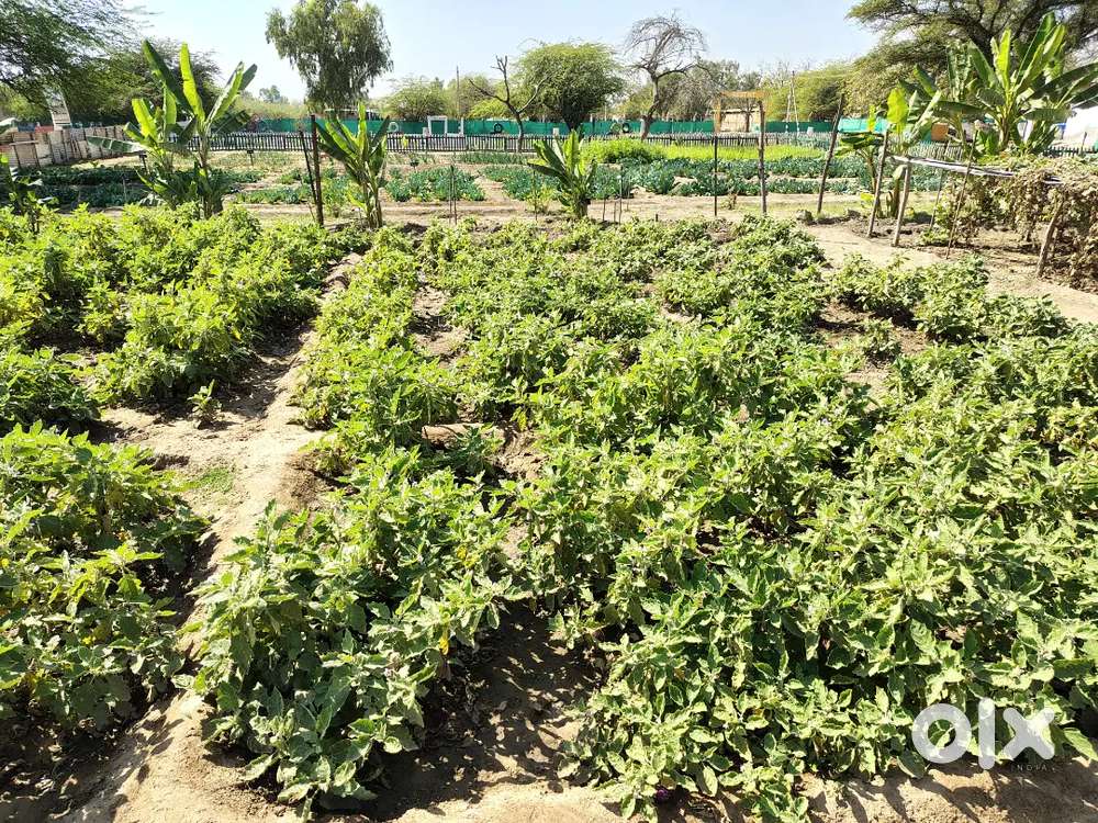 Plot for sale