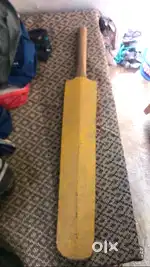 Bat 1111111