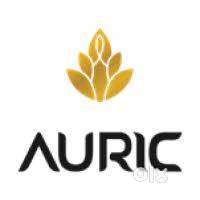 AURIC VIRTUAL SHOP SPACE, PAY 20 LAKHS AND 20,000 RENT PER MONTH FIXED