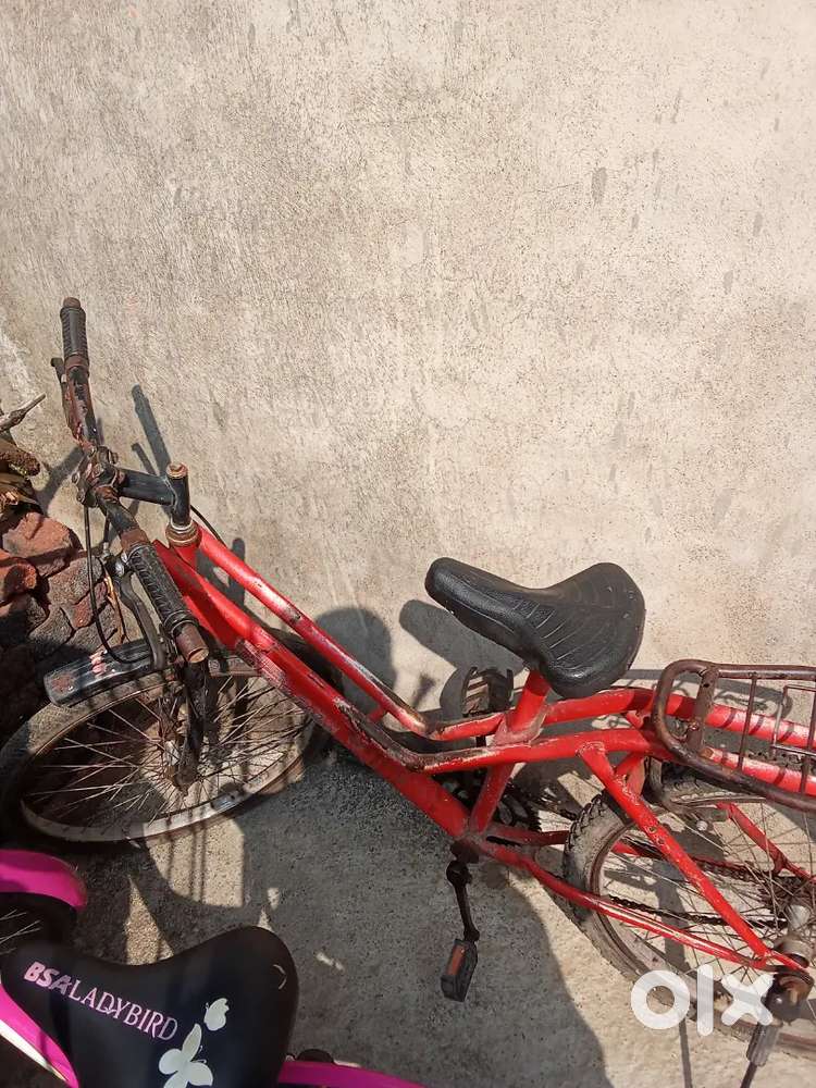 Old nice cycle