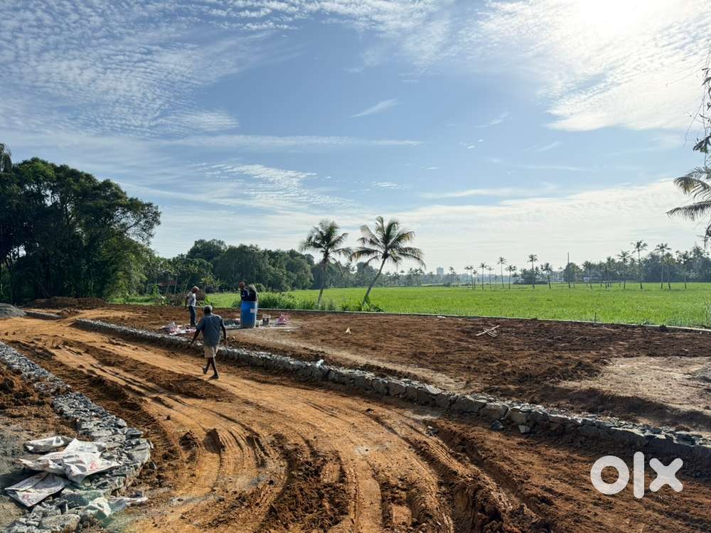 INFOPARK KAKKANAD 7 KM PLOTS PAZHANGANAD PUKKATTUPADY KIZHAKKAMBALAM