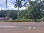 Plot for Sale at konni