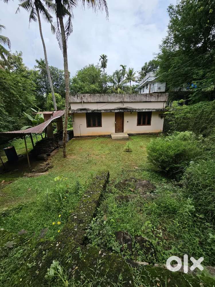 Land for sale kodali thrissur