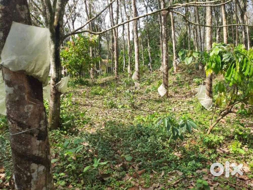 47 cents plot near Aruvikkara dam at proposed ring road.