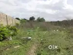 Sale for plot