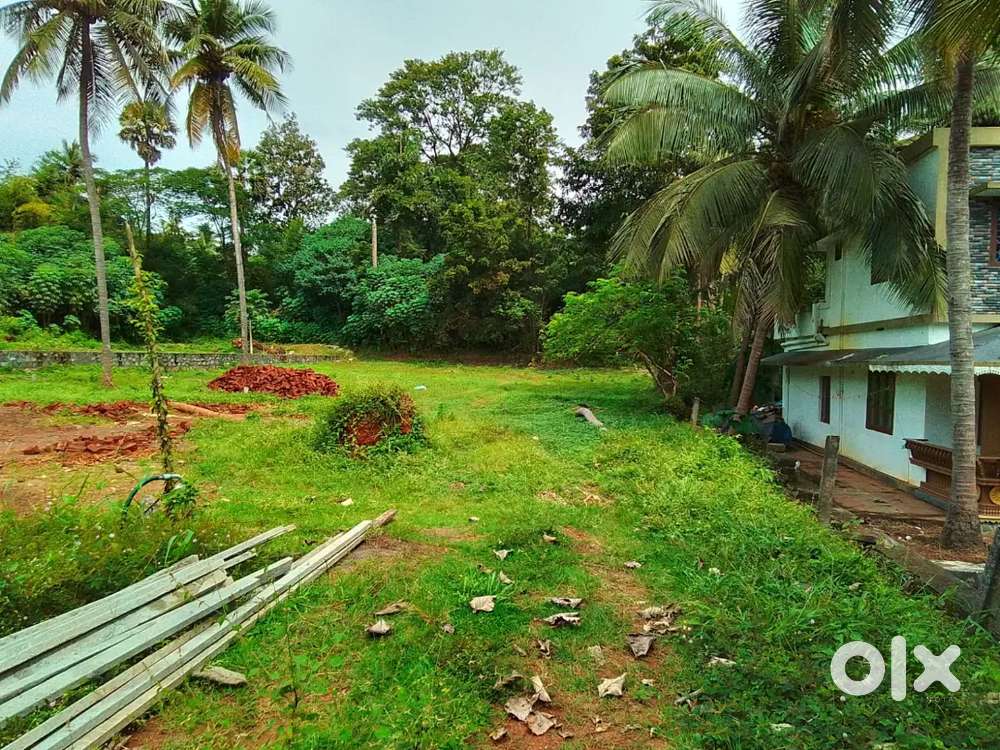 19,cent,Residential Land for sale in kamba,Vallicode,Palakad District
