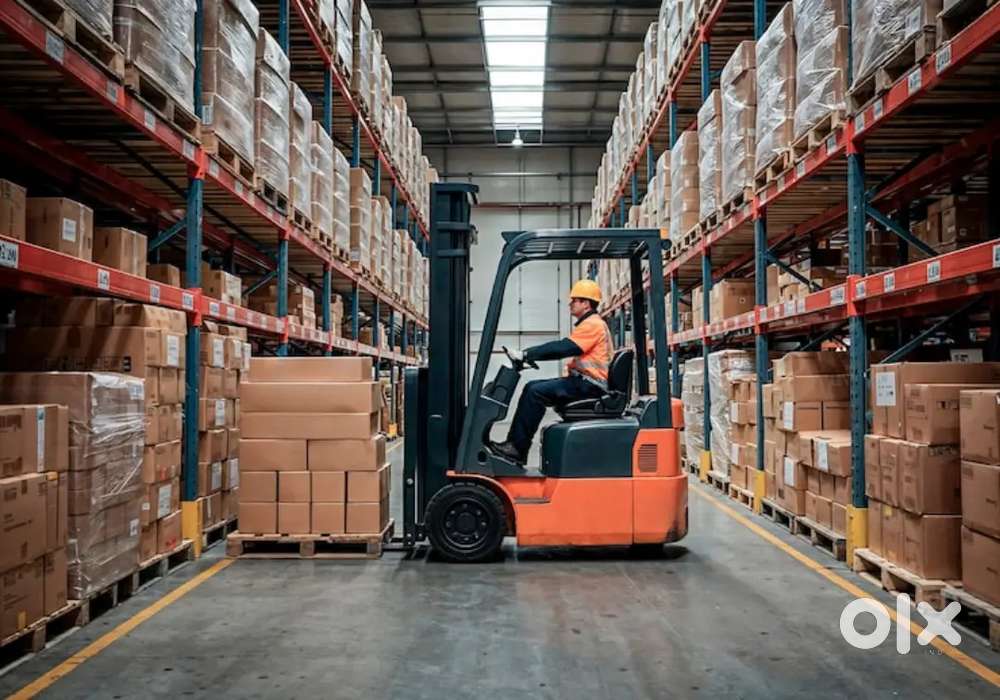 PICKING PACKING SCANNING DATA ENTRY