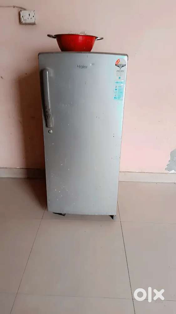 Sell friej best quality under warranty period