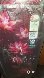 Refrugerator
