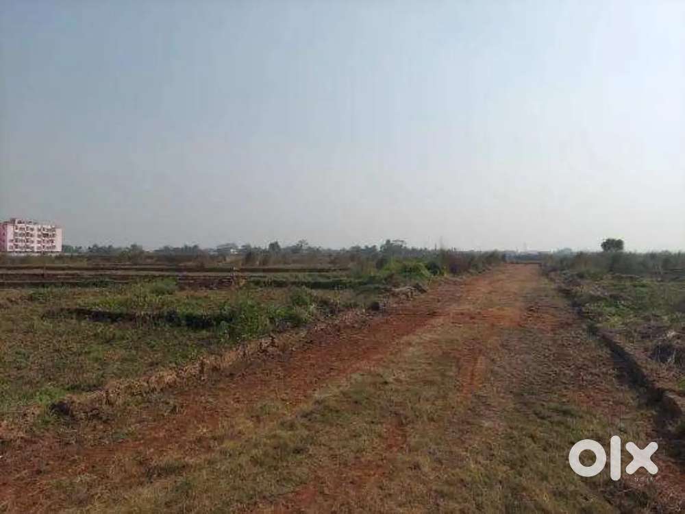 Urgent plot for sale Sedul cast property
