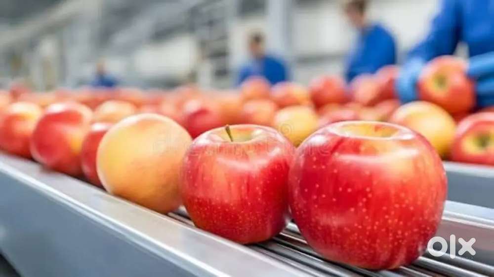 Wanteed m/f packing staffs / counter staffs