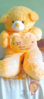 Teddy Bear