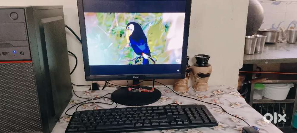 6 month old computer