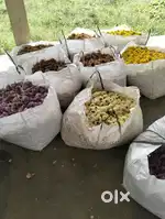 Need street vendors
