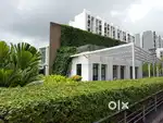 Ashok Meadows, Hinjewadi