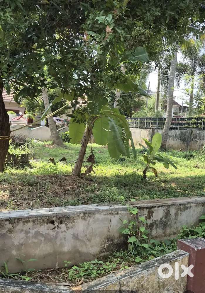 10 cent@ KARUMALLUR, ALUVA